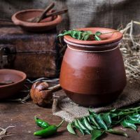 Curd in a Pot